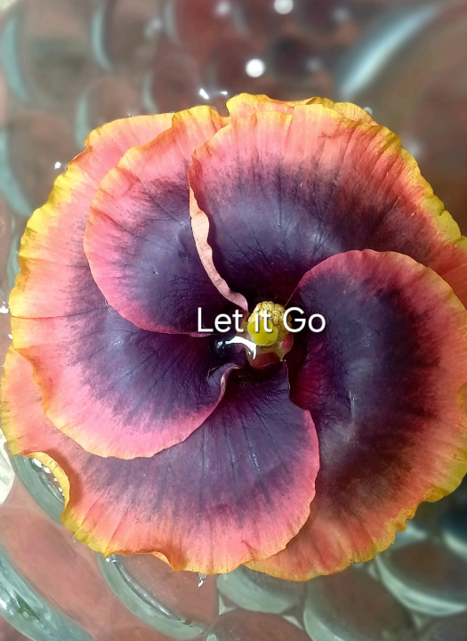 Let it Go