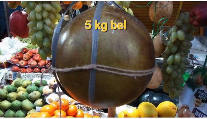 5 Kg Bel
