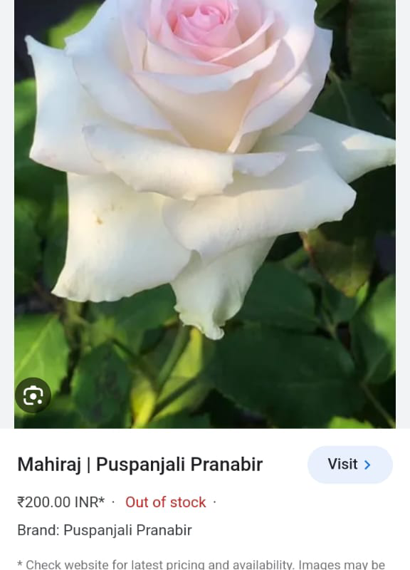 Maharaj-Pushpanjali Pranabir