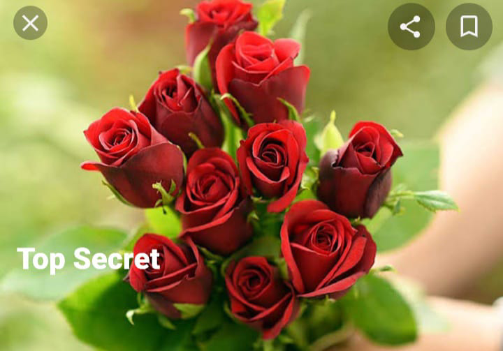 Top Secret