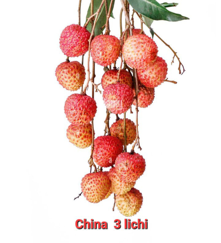 China 3 Lichi