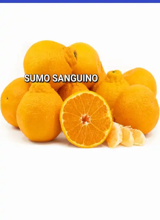 Sumo Sanguino