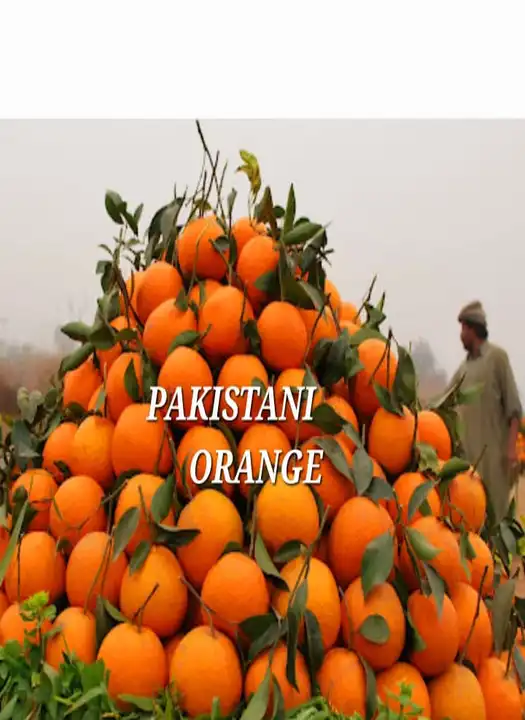 Pakistani Orange