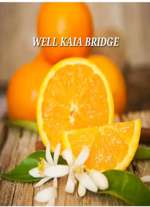 Well Kaia Bridge